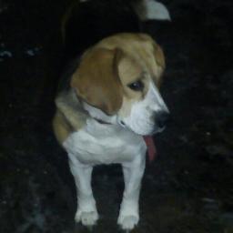 eagetf's profile picture. 