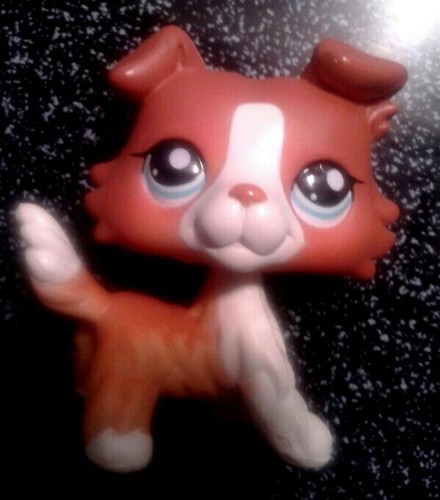 LUV LPS! TRADE LPS! FAV COLOR *RED*! FOLLOW BACK !SINGLE 4 NOW ! *KISSES*