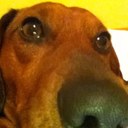 Daniel Rivelli - @awesomeboss270 - Twitter