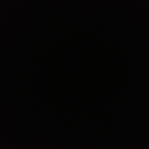 DamnYouPointers's profile picture. For personal unhinged posts