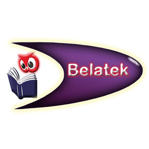 Management Consulting