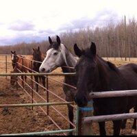 Mike Harrington (@asstsupers) 's Twitter Profile Photo