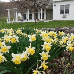 Elegant post and beam bed and breakfast located in the sweet spot where the Hudson Valley meets the beautiful Berkshires.