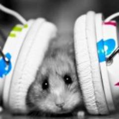 K 0nda Twitteros!
