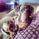 madison bryan - @madisonvalenti8 - Twitter