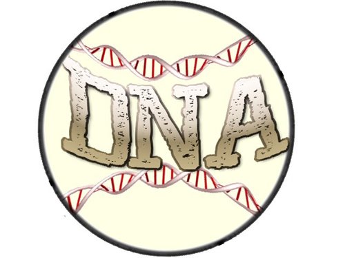 DNA Of Sports will tell stories of Triangle athletes one day at a time. All levels, all genders, all sports. DNA Of Sports - where everyone has a story to tell.