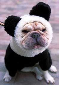 Isonoasobouze's profile picture. 