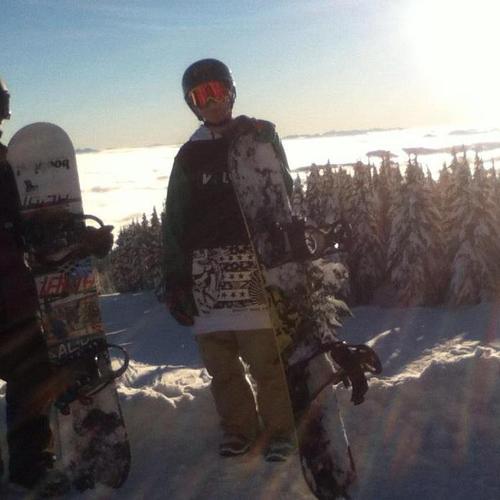 shred all day