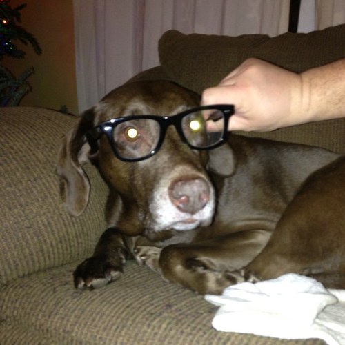 Lisaminj's profile picture. Lover of fantasy, sci fi, books that take me on a journey, limes, music, singing real loud in the car, sleep, dogs, dessert, being a mom, being in love❤