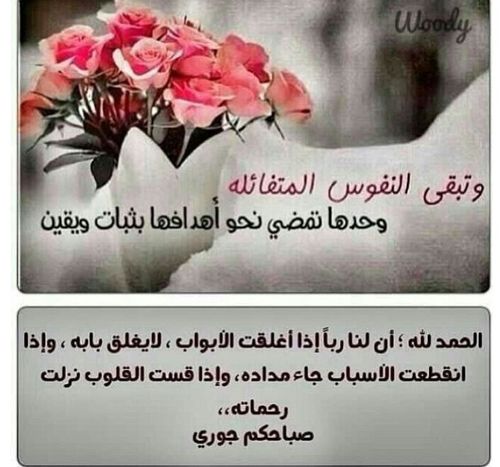 A8E3A733D9
