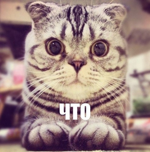 microlab98's profile picture. 