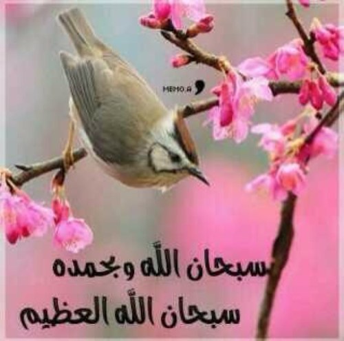 اللهم اجعل هذا الحساب صدقة جارية لي ولوالداي ولمن اغتبت ولاموات المسلمين اللهم اغفر لنا وارحمنا يوم العرض