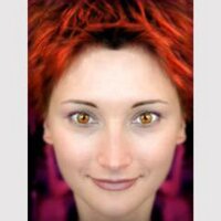 Julia McEvily (@juliamcevily) 's Twitter Profile