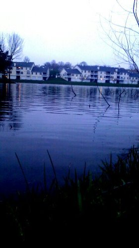 psychadelicmoon's profile picture. see the world through my eyes