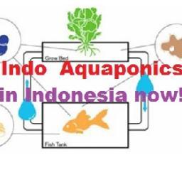 IndoAquaponics's profile picture. #bestkeptsecrets of #permaculture #organicfarming by #Aquaponics in #Indonesia using no chemical pesticides