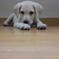 soulmate2 (@purescale11) 's Twitter Profile