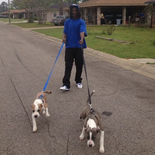 1BodJonez's profile picture. I am me, jus a yung humble brother thats tryna make it out the struggle... FaceBook:Bod Jonez Instagram:FACE_OFF_LOCO