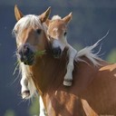 Gail Hendricks - @TheReikiZone - Twitter