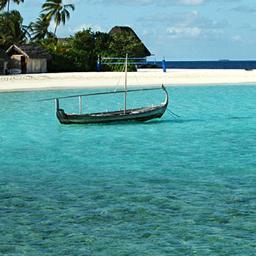 knkydombtm's profile picture. Masc, but in private a caged sub 🐽 bottom.