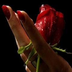 Red roses are given as a symbol of love, beauty, and passion. I have roses on my name...