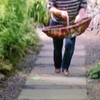 annieanderson (@wontstand4it) 's Twitter Profile