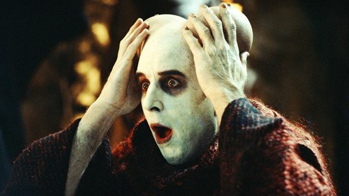 tiggintweets's profile picture. TIgs on Tigs on Tigs, It means....whatever you want it to mean. Follow and find out TigHead  
(Managed by @itzmerda and @Jmo_Tigs)
*This is not a porn account*