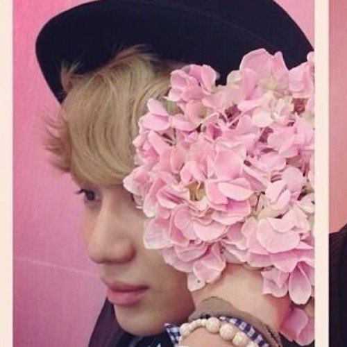 SHINee Taemin bot Start→13.02.12