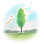 ピュア フィールド風曜日 Purefieldkazeyo Twitter ピュア フィールド風曜日 Purefieldkazeyo Twitter