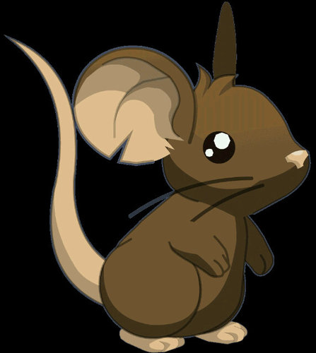 Hola juego a transformice , soy camionlucas.        Tamb me gustan los graffitis ,anonymous y ago parkour .. Pasenmen sus apodos asi los agrego :3,tengo face :3