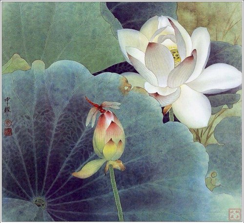 acuhealclinic's profile picture. 