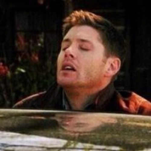☯i cry over fictional characters, food and ice tea☯