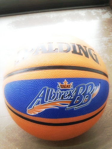 ﾊﾞｽｹ ﾐﾆﾊﾞｽ bjﾘｰｸﾞ ｱﾙﾋﾞBB ｱﾙﾋﾞBBﾗﾋﾞｯﾂ ｽﾉｰﾎﾞｰﾄﾞ ｹﾞｰﾑ 湘南乃風 かりゆし58 映画大好き ﾌｫｰｶﾙｼﾞｽﾄﾆｱからの復活 お風呂好き 釣り