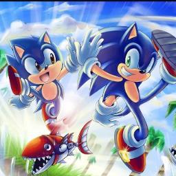 Soy Sonic, un erizo que corre a gran velocidad, podre ser pequeño pero puedo derrotarte....