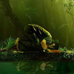 AbdulmalikTohir's profile picture. 