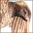 hanaraganoru's profile image