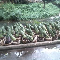 night12310's profile picture. 