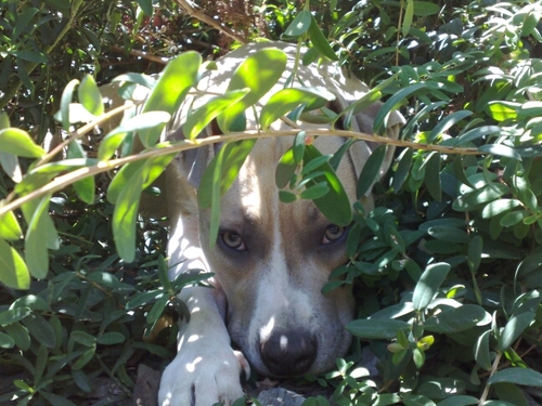 thetecnition's profile picture. I like vegemite and vodka but not together .