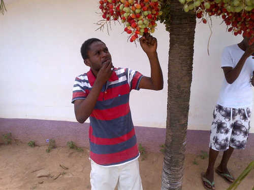 Babaalhajiaz's profile picture. I me nd myslf