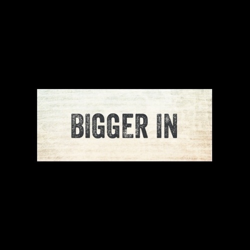 BiggerIn's profile picture. 