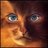 rububyzozyzu's profile image