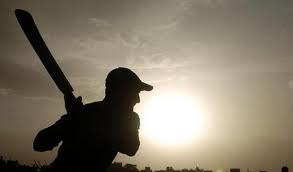 Cricket and sun worshiper, Northern Ireland