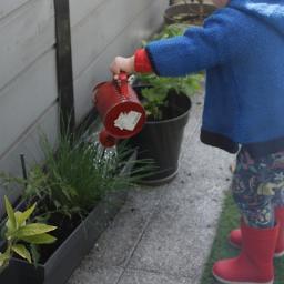 cherrysearch's profile picture. Plant biologist @INRAE_NA_BDX. Modelling cherry tree phenology in the context of climate change. Opinions are my own.