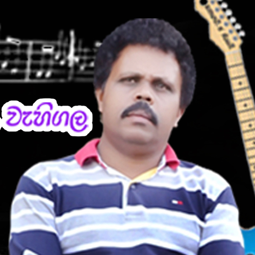 I am a Sri Lankan Artist