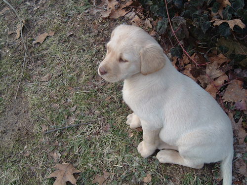 Verygirl5's profile picture. 