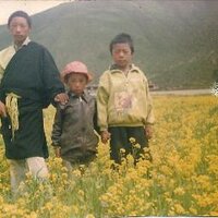 jamyangdakpa (@shaalenbu) 's Twitter Profile