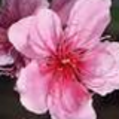 idelawarei's profile picture. @What_DAY_isiT @iLiFEi iS BEAUTiFUL EVERYDAY @iMONDAYi @iTUESDAYi @iWEDNESDAYi @iTHURSDAYi @iFRiDAYi @iSATURDAYi @iSUNDAYi @iFAMiLYi @iFRiENDSi @iSUNSHiNEi #k2