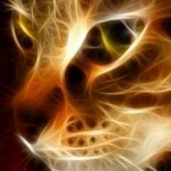 alikatz82's profile picture. 