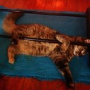 Mikayla Stein - @missykissy21 - Twitter