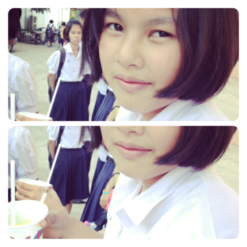 `ดอกคำฝอย.◤