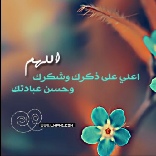 ماني شيخ دين لكن أعرف إننا مقصرين أنشأت هذا الحساب بأسلوب جديد لنغرّد بـ ذكر الله ، أتمنى أن تساعدوني في نشره. و ناخذ أجر كلنا و نجتمع في جنان الخلد :)